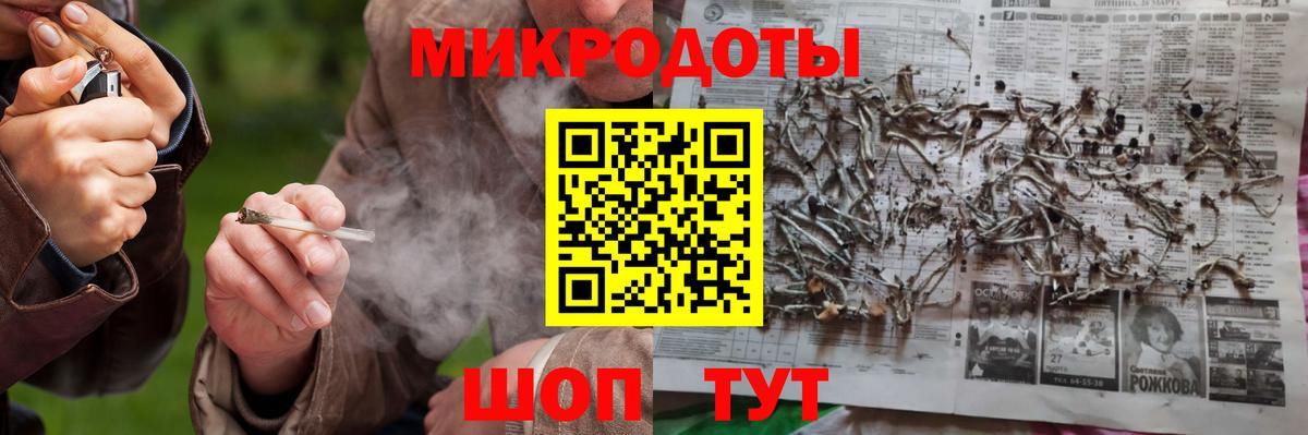 Псилоцибиновые грибы Psilocybe Бутурлиновка